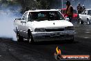 Heathcote Park Raceway Christmas Challenge 2010 - -4SH8055