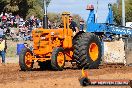 Quambatook Tractor Pull VIC 2011 - SH1_7997