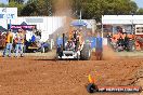 Quambatook Tractor Pull VIC 2011 - SH1_8146