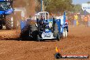 Quambatook Tractor Pull VIC 2011 - SH1_8168