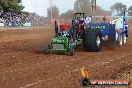 Quambatook Tractor Pull VIC 2011 - SH1_8417