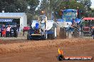 Quambatook Tractor Pull VIC 2011 - SH1_8467