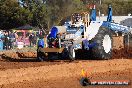 Quambatook Tractor Pull VIC 2011 - SH1_8550