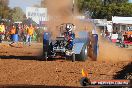 Quambatook Tractor Pull VIC 2011 - SH1_8616