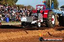 Quambatook Tractor Pull VIC 2011 - SH1_8767