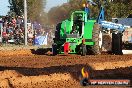 Quambatook Tractor Pull VIC 2011 - SH1_8817