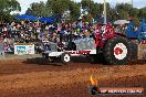 Quambatook Tractor Pull VIC 2011 - SH1_8884