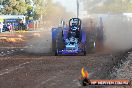 Quambatook Tractor Pull VIC 2011 - SH1_8961