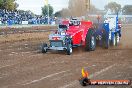 Quambatook Tractor Pull VIC 2011 - SH1_9167