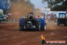 Quambatook Tractor Pull VIC 2011 - SH1_9194