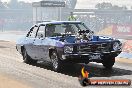 Mayham Heathcote Park VIC - LA6_4543