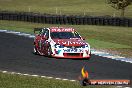 V8 Supercars at Phillip Island 2011 - DSC_6147