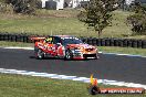 V8 Supercars at Phillip Island 2011 - DSC_6194