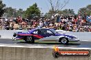 Slamfest Heathcote Park VIC 2012 - LA7_0751