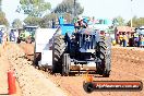 Quambatook Tractor Pull VIC 2012 - S9H_3540
