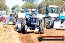 Quambatook Tractor Pull VIC 2012 - S9H_3552