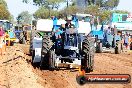 Quambatook Tractor Pull VIC 2012 - S9H_3555