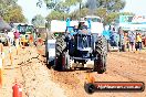 Quambatook Tractor Pull VIC 2012 - S9H_3556