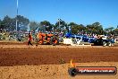 Quambatook Tractor Pull VIC 2012 - S9H_3610