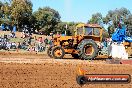 Quambatook Tractor Pull VIC 2012 - S9H_3624