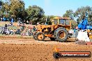 Quambatook Tractor Pull VIC 2012 - S9H_3625