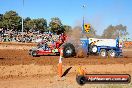 Quambatook Tractor Pull VIC 2012 - S9H_3653