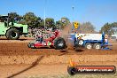 Quambatook Tractor Pull VIC 2012 - S9H_3656