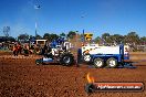 Quambatook Tractor Pull VIC 2012 - S9H_3744