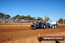 Quambatook Tractor Pull VIC 2012 - S9H_3789