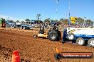 Quambatook Tractor Pull VIC 2012 - S9H_3898