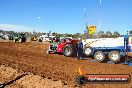 Quambatook Tractor Pull VIC 2012 - S9H_3990