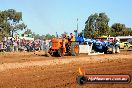 Quambatook Tractor Pull VIC 2012 - S9H_4123