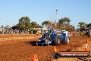 Quambatook Tractor Pull VIC 2012 - S9H_4145