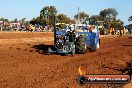 Quambatook Tractor Pull VIC 2012 - S9H_4159