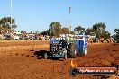 Quambatook Tractor Pull VIC 2012 - S9H_4160