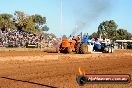 Quambatook Tractor Pull VIC 2012 - S9H_4174