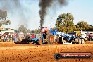 Quambatook Tractor Pull VIC 2012 - S9H_4463