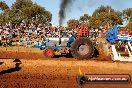Quambatook Tractor Pull VIC 2012 - S9H_4476