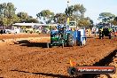 Quambatook Tractor Pull VIC 2012 - S9H_4481