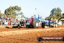 Quambatook Tractor Pull VIC 2012 - S9H_4590