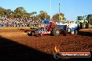 Quambatook Tractor Pull VIC 2012 - S9H_4687