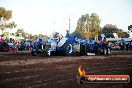 Quambatook Tractor Pull VIC 2012 - S9H_4866