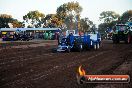 Quambatook Tractor Pull VIC 2012 - S9H_4880