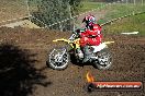 Harley club Motorcross fun day 26 08 2012 - 5SH_7999