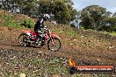 Harley club Motorcross fun day 26 08 2012 - 5SH_8086