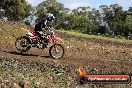 Harley club Motorcross fun day 26 08 2012 - 5SH_8087