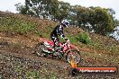 Harley club Motorcross fun day 26 08 2012 - 5SH_8276