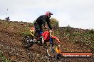 Harley club Motorcross fun day 26 08 2012 - 5SH_8771