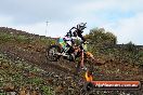 Harley club Motorcross fun day 26 08 2012 - 5SH_8817