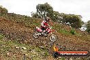 Harley club Motorcross fun day 26 08 2012 - 5SH_9144